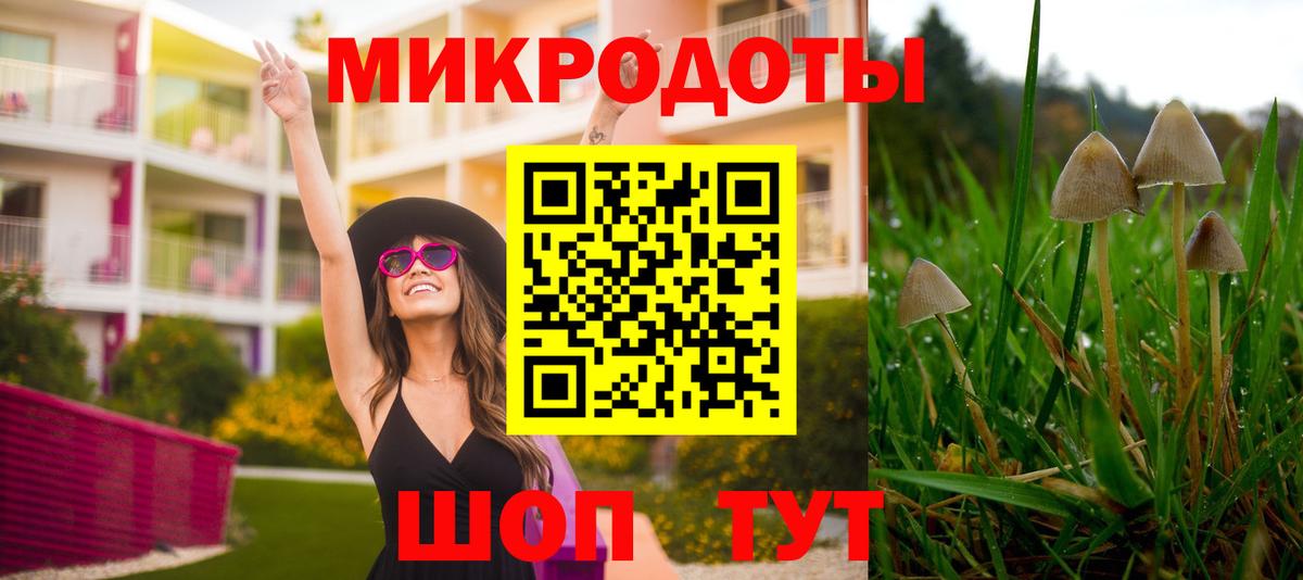 Галлюциногенные грибы MAGIC MUSHROOMS  Псилоцибиновые грибы ЛСД  Вход с VPN  Энгельс 